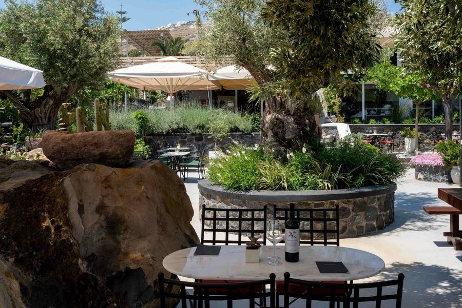 Winery_ArtemisKaramolegos2022_ (63)_Web (1).jpg